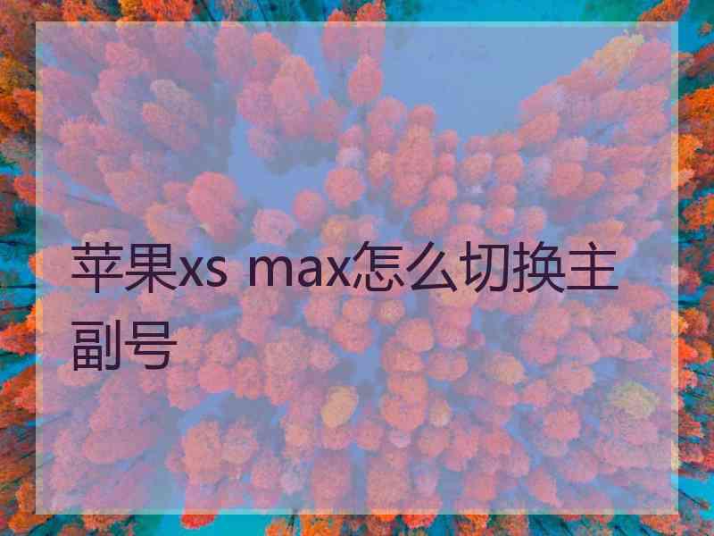 苹果xs max怎么切换主副号