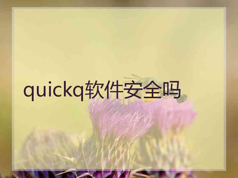 quickq软件安全吗