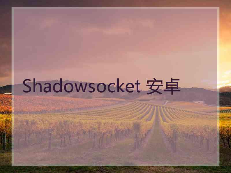 Shadowsocket 安卓