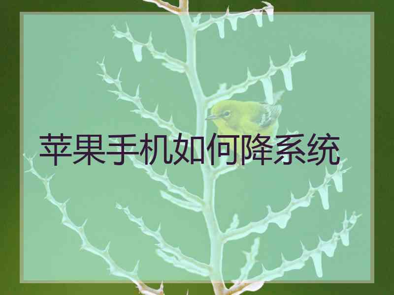 苹果手机如何降系统