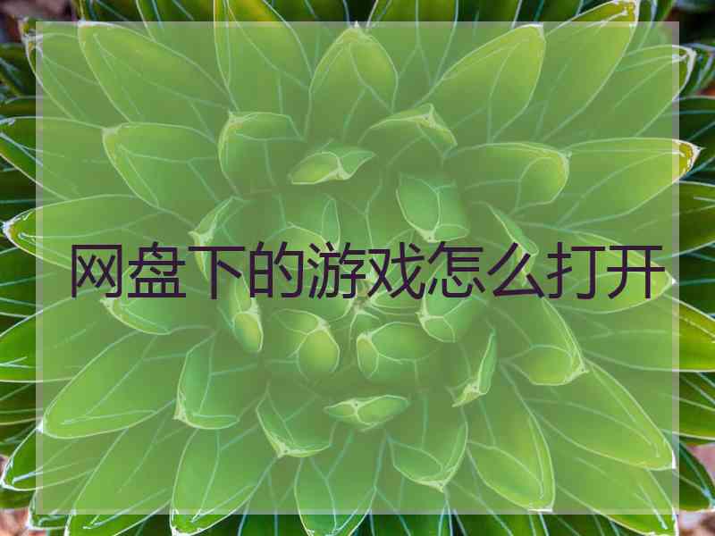 网盘下的游戏怎么打开