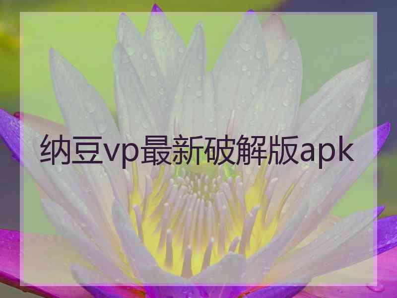 纳豆vp最新破解版apk