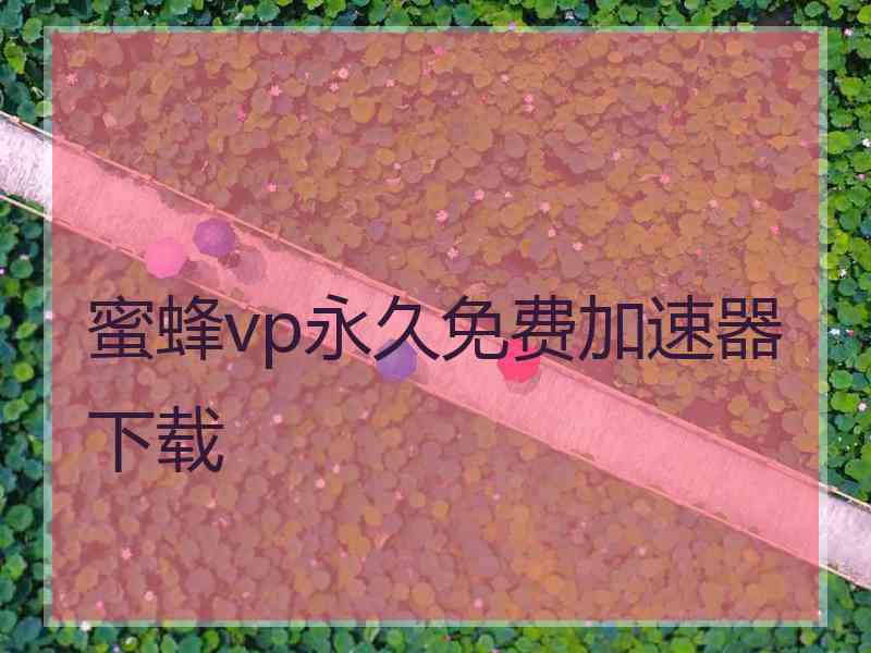 蜜蜂vp永久免费加速器下载