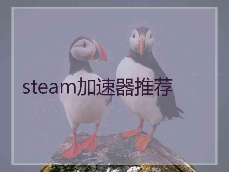 steam加速器推荐