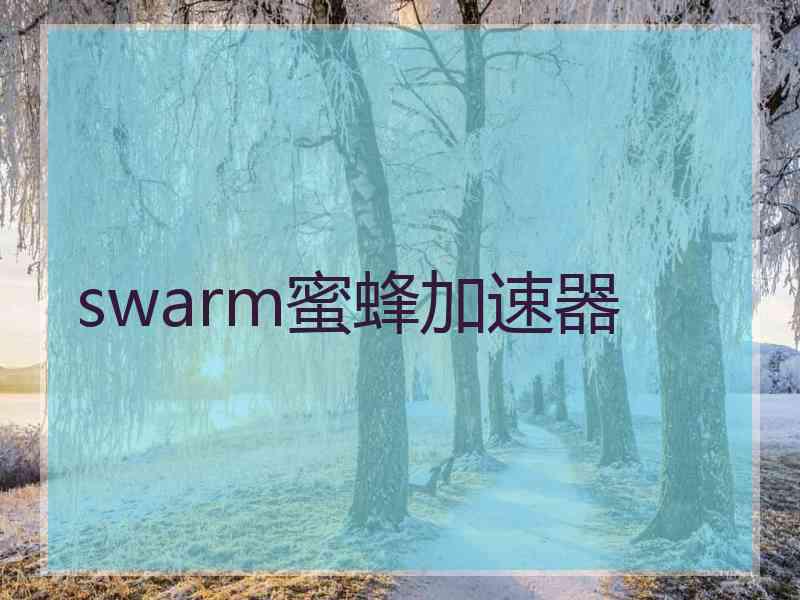 swarm蜜蜂加速器