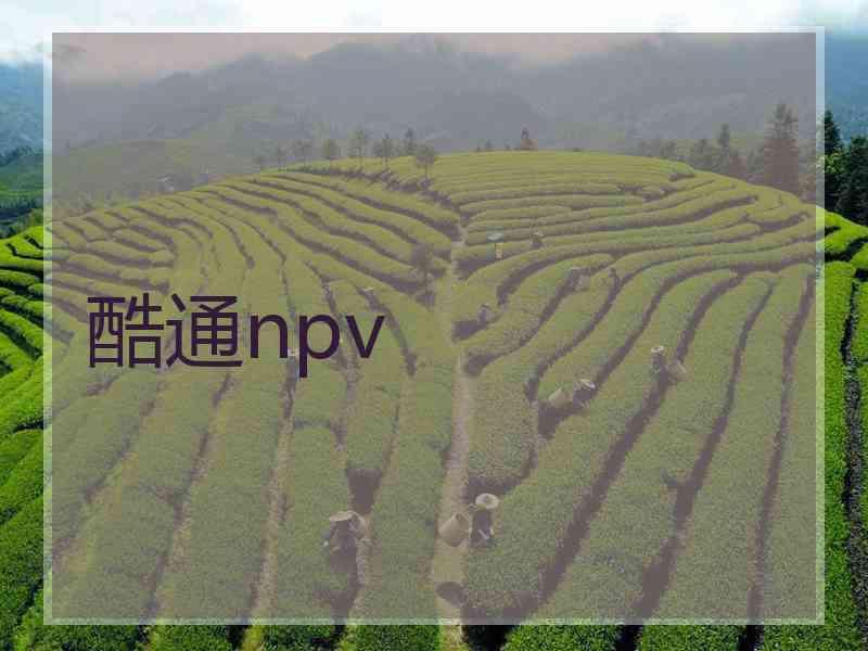 酷通npv