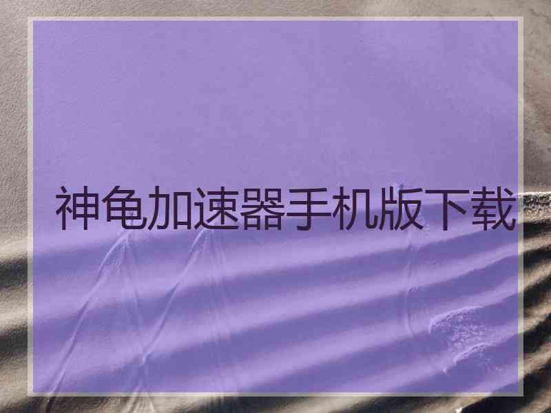 神龟加速器手机版下载