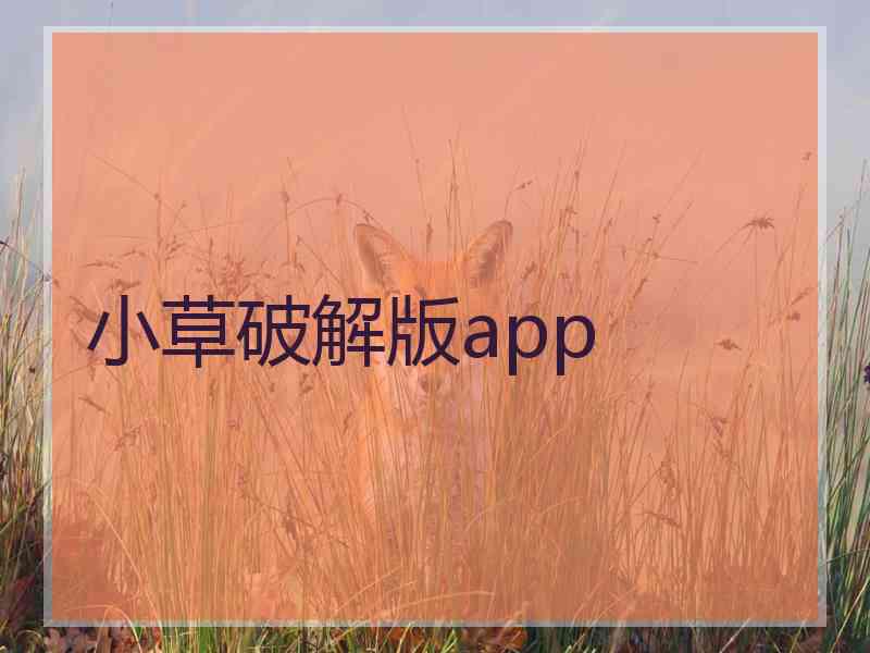 小草破解版app