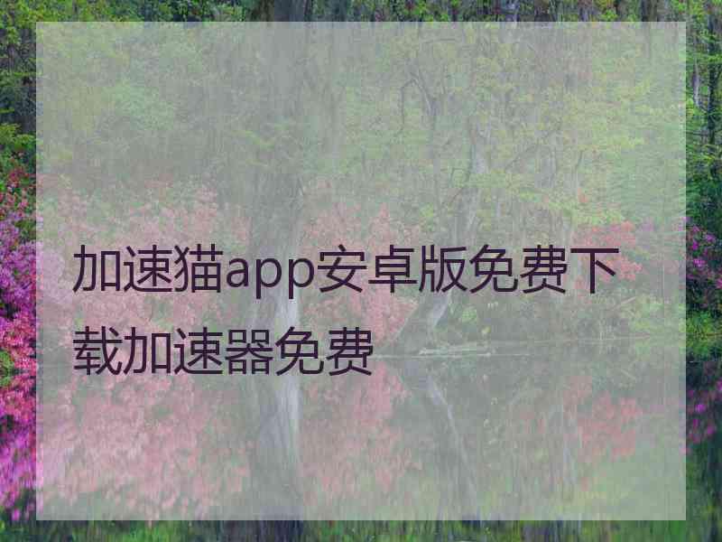 加速猫app安卓版免费下载加速器免费