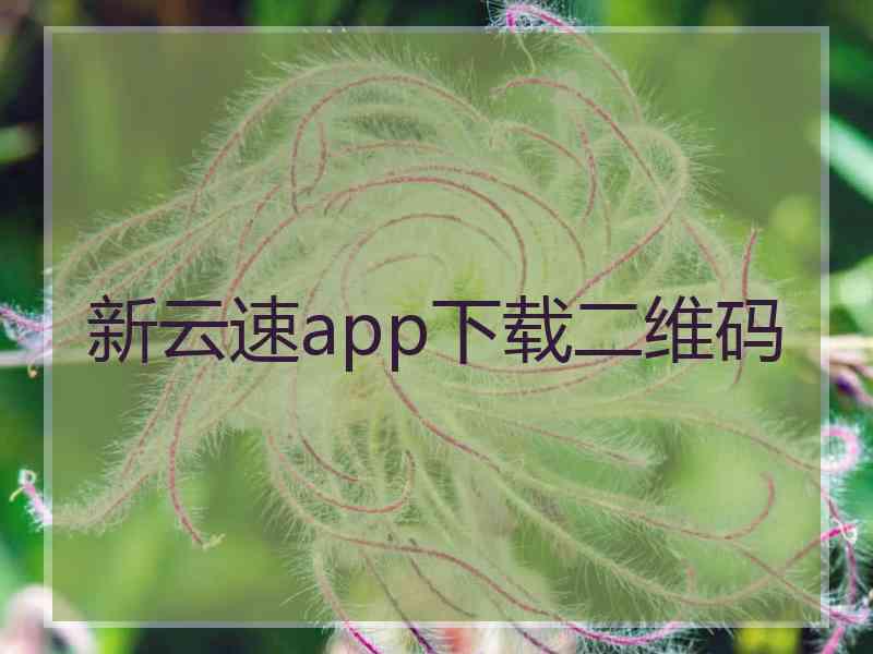 新云速app下载二维码