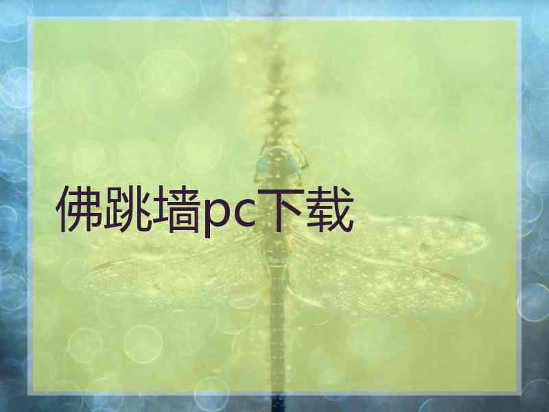 佛跳墙pc下载