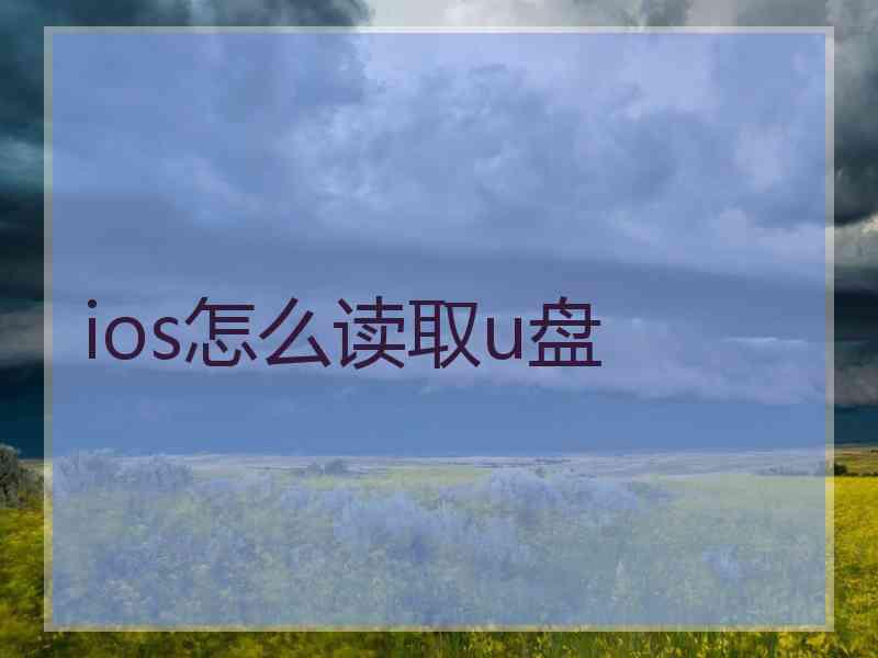 ios怎么读取u盘