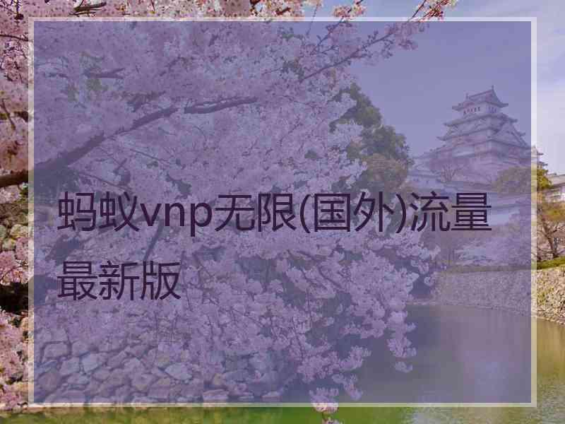 蚂蚁vnp无限(国外)流量最新版