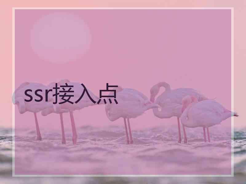 ssr接入点