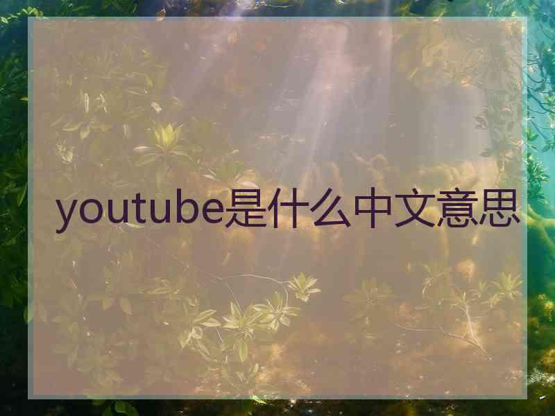 youtube是什么中文意思