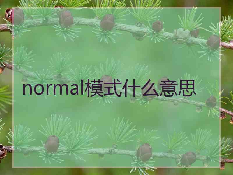 normal模式什么意思