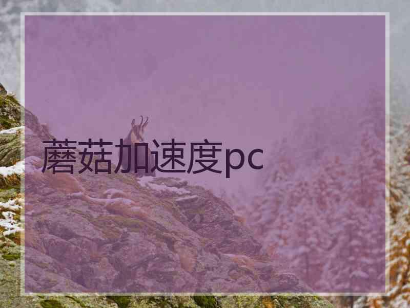 蘑菇加速度pc