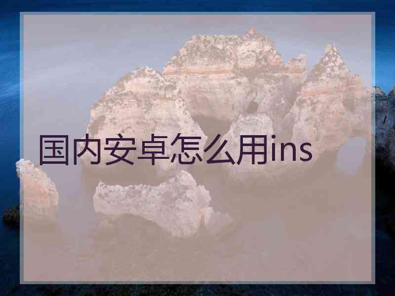 国内安卓怎么用ins