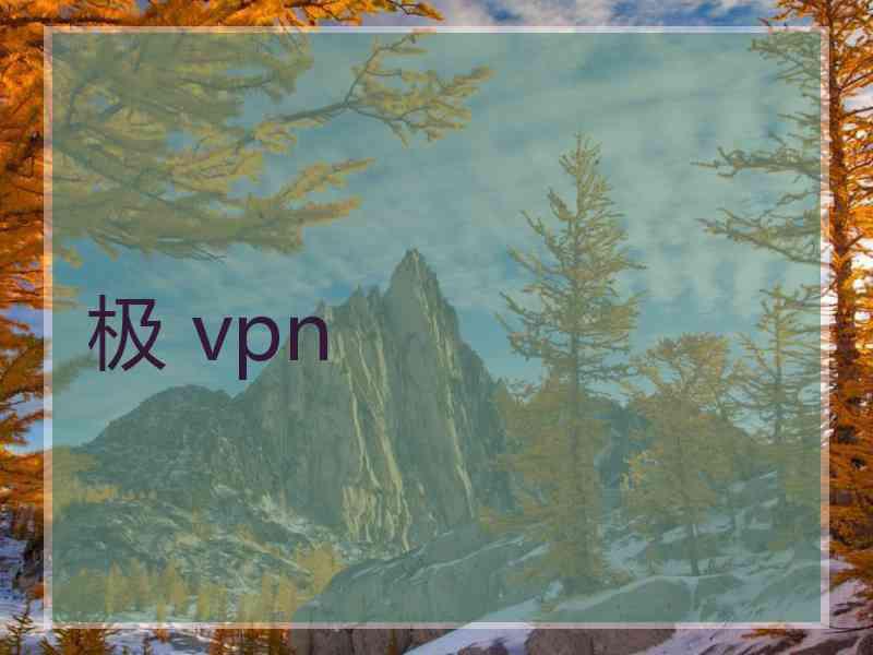 极 vpn