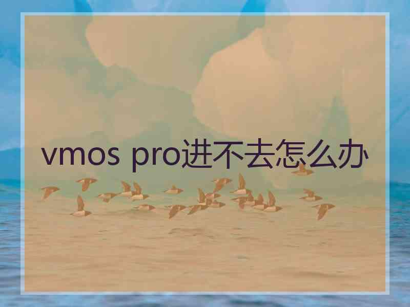 vmos pro进不去怎么办