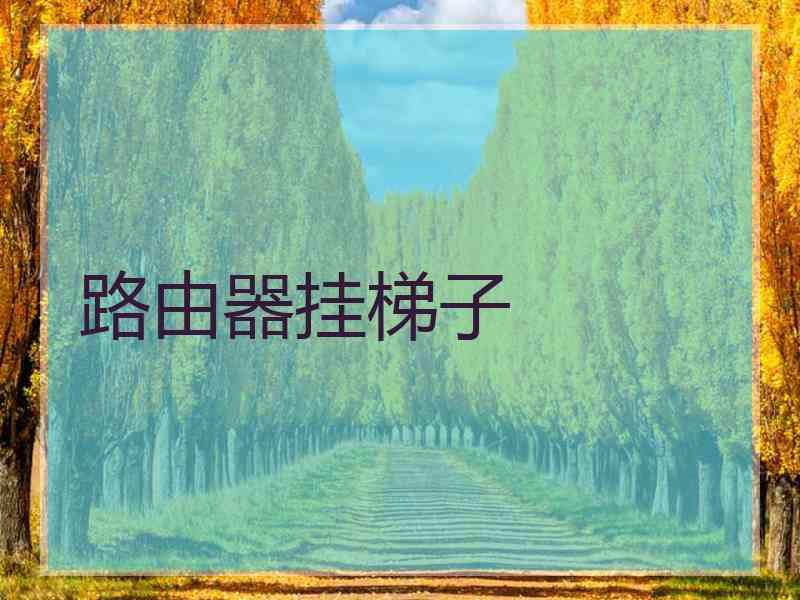 路由器挂梯子