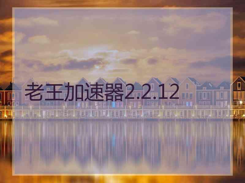 老王加速器2.2.12