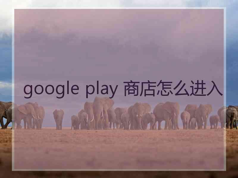 google play 商店怎么进入