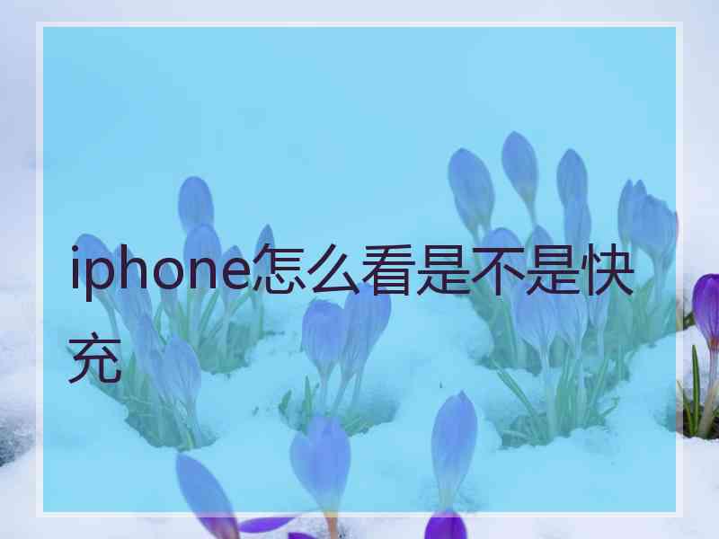 iphone怎么看是不是快充