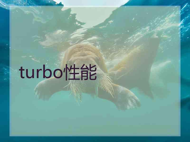 turbo性能