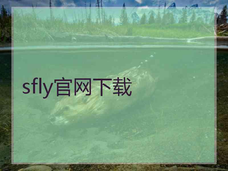 sfly官网下载