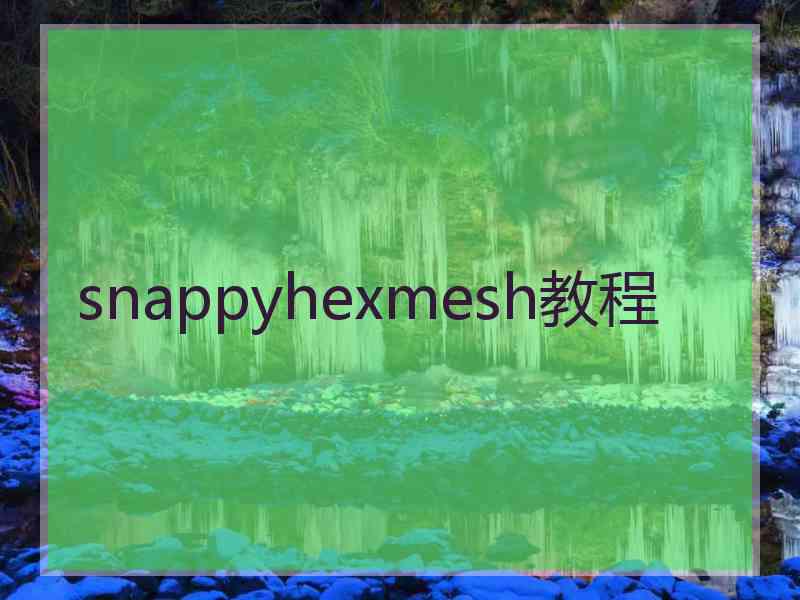 snappyhexmesh教程