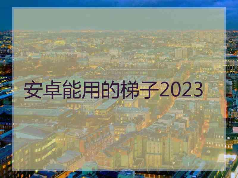 安卓能用的梯子2023