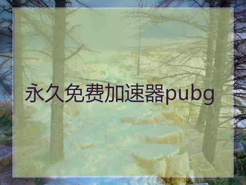 永久免费加速器pubg