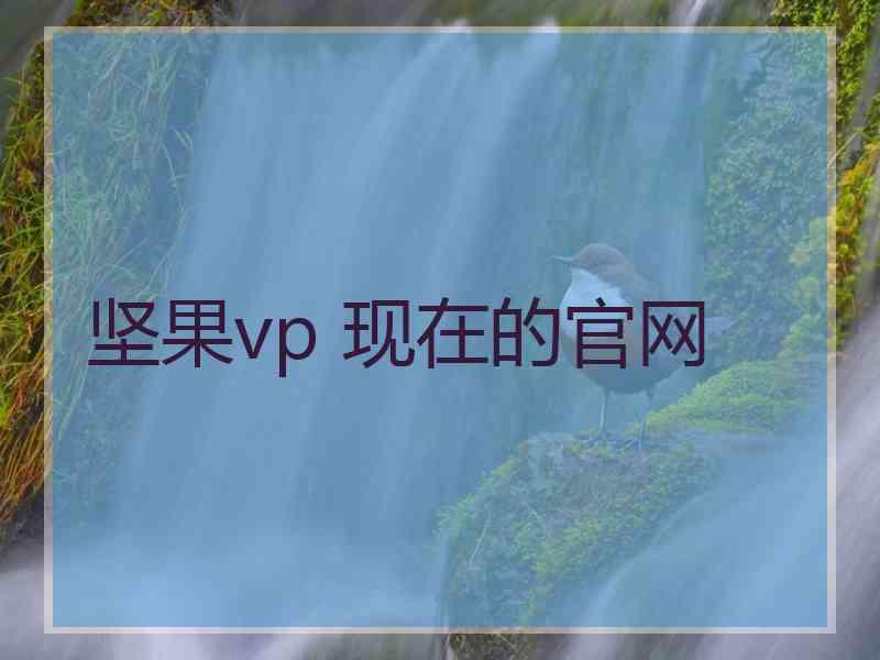 坚果vp 现在的官网