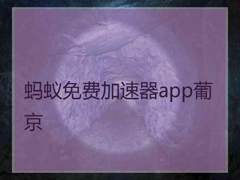 蚂蚁免费加速器app葡京