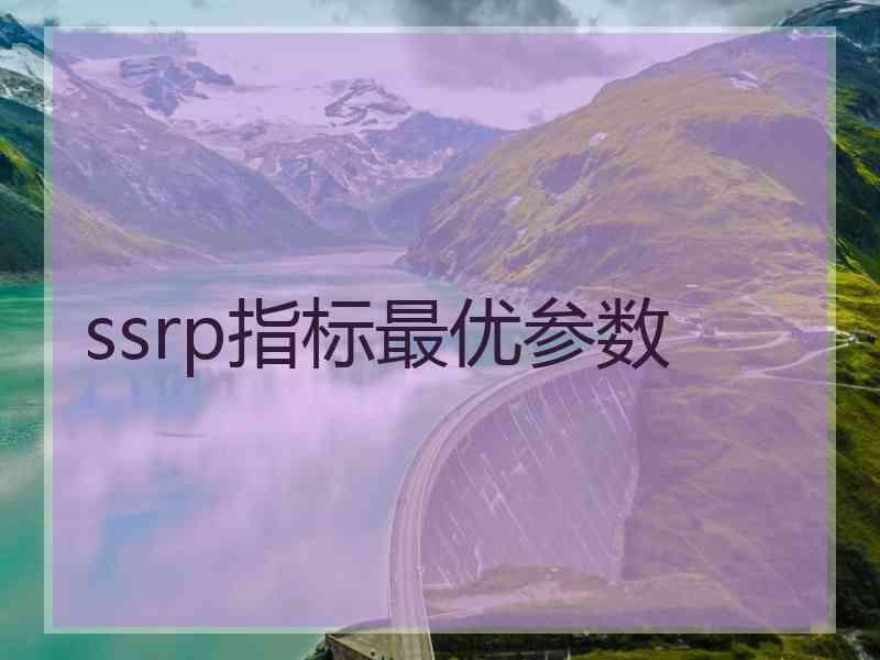 ssrp指标最优参数