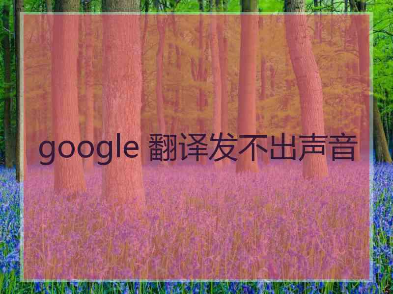 google 翻译发不出声音