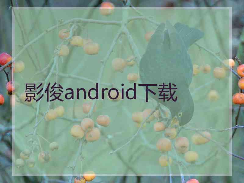 影俊android下载