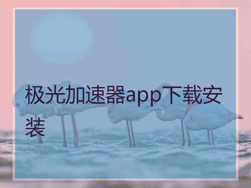 极光加速器app下载安装