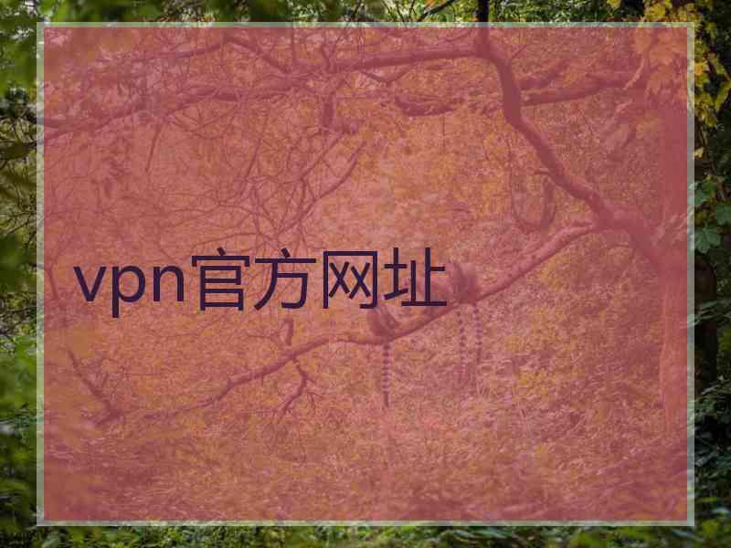 vpn官方网址