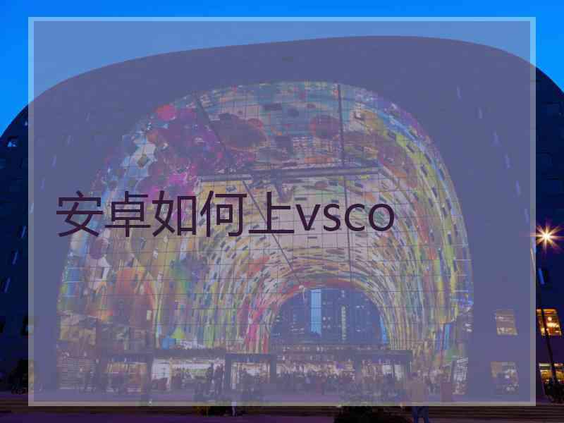 安卓如何上vsco