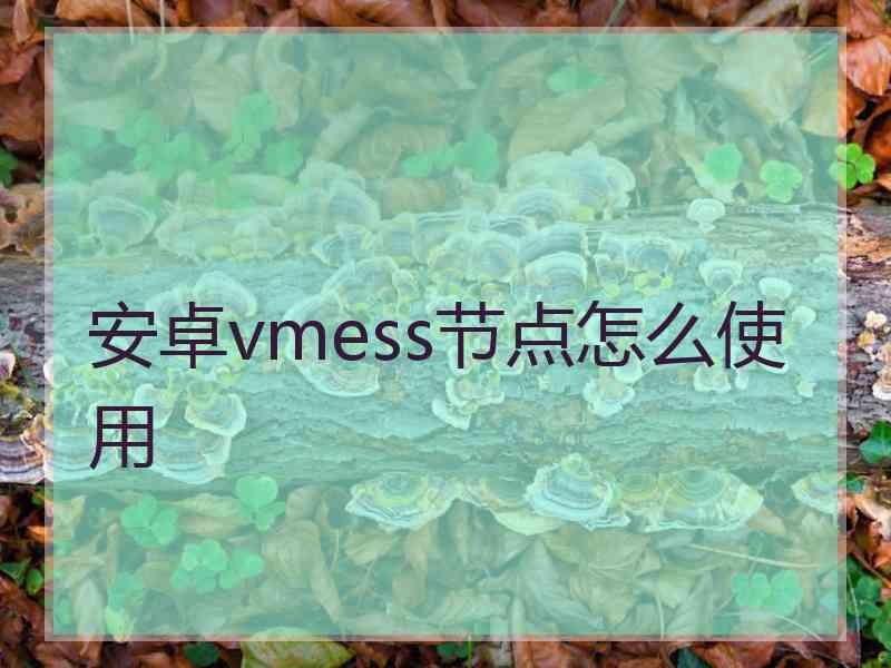 安卓vmess节点怎么使用