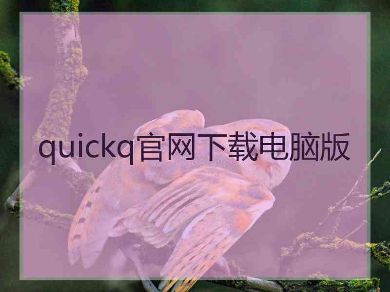 quickq官网下载电脑版