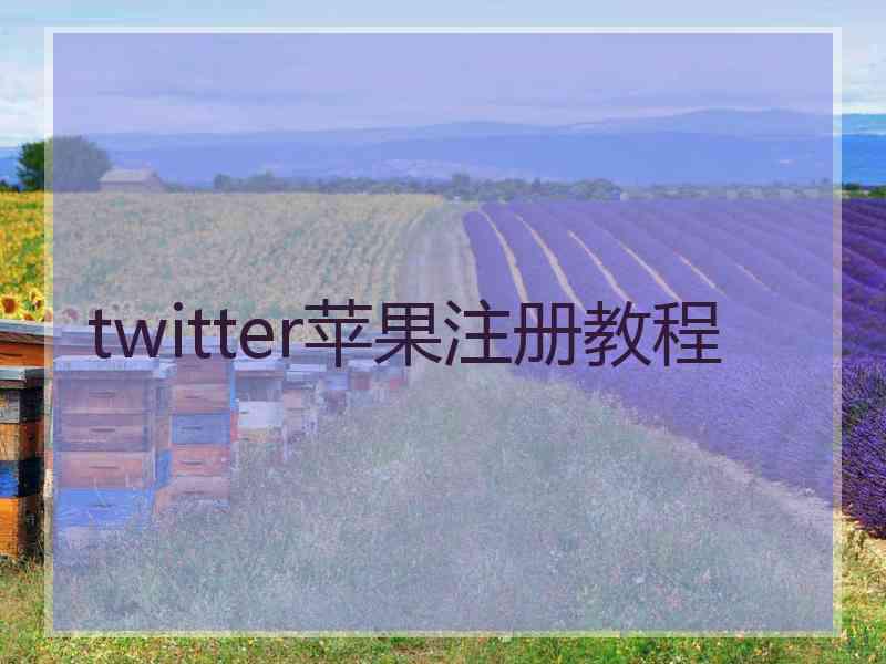 twitter苹果注册教程