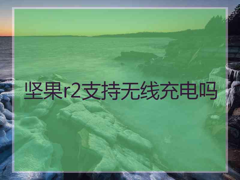 坚果r2支持无线充电吗