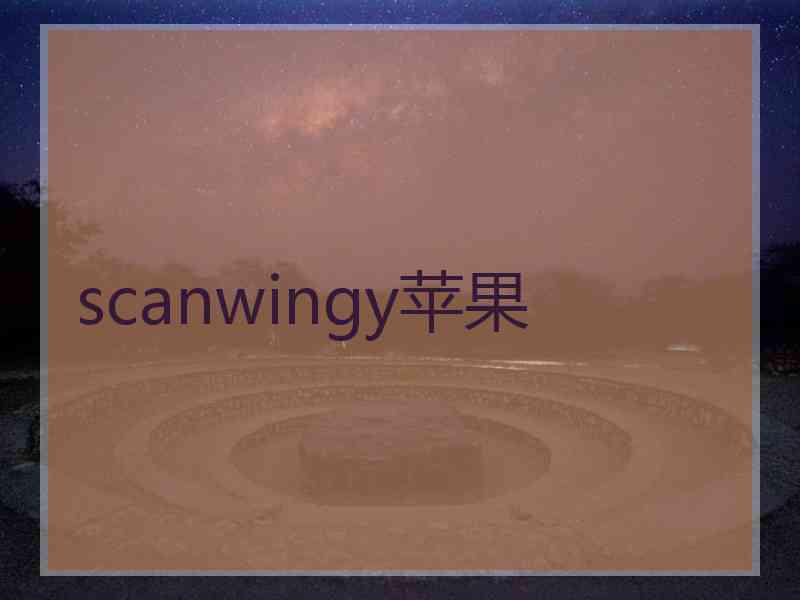 scanwingy苹果