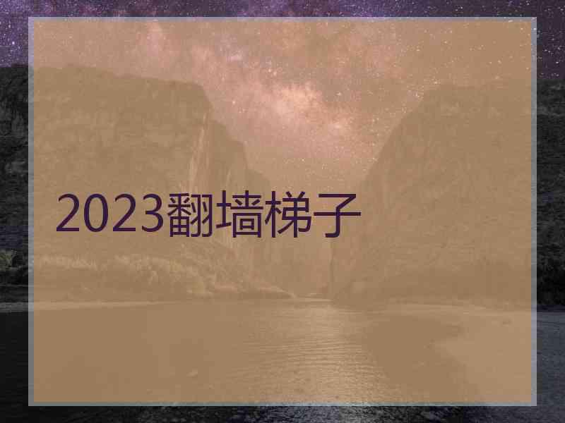 2023翻墙梯子