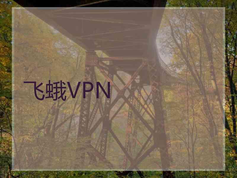 飞蛾VPN