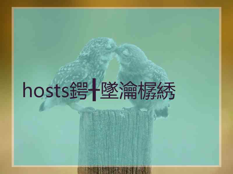 hosts鍔╂墜瀹樼綉