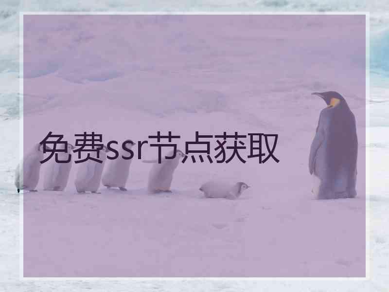 免费ssr节点获取